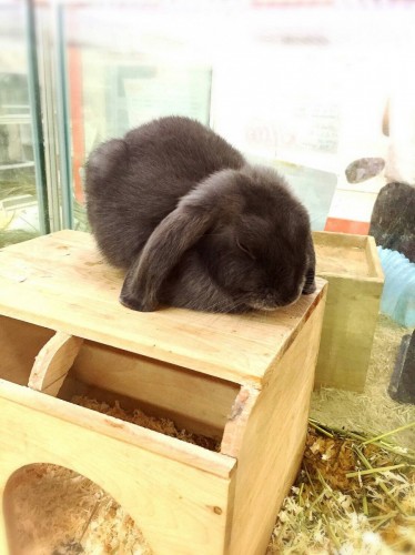 ファイル 2016-09-21 19 58 10