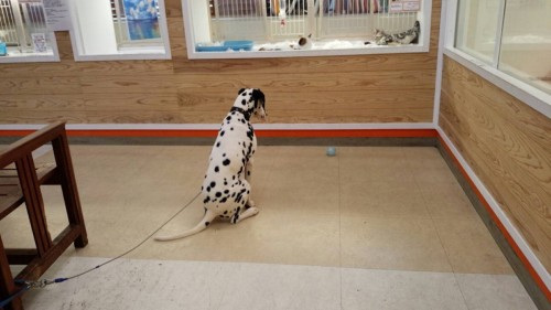 ファイル 2016-09-17 21 28 10