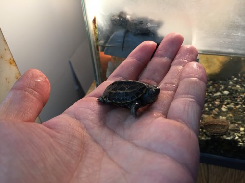 写真 2016-09-19 20 36 16