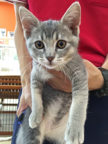 ファイル 2016-09-23 19 00 23