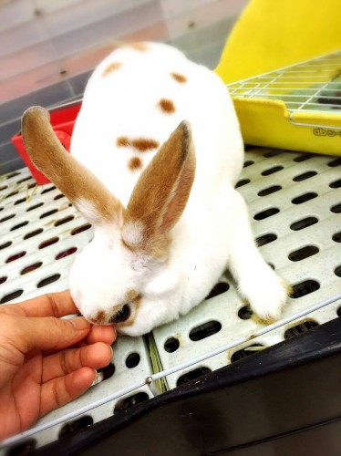 ファイル 2016-09-21 19 49 45