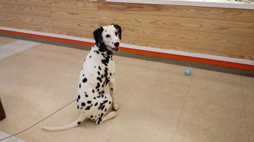 ファイル 2016-09-17 21 28 20