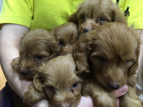 写真 2016-09-08 19 21 43