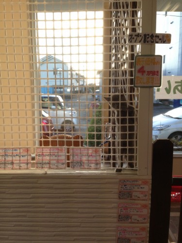 写真 2016-10-01 17 16 11