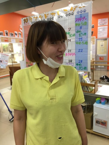 写真 2016-10-08 18 44 01