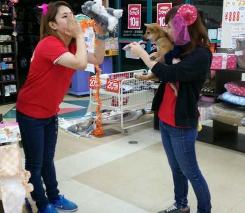 写真 2016-10-28 21 44 36