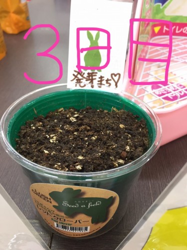 写真 2016-10-08 18 12 04