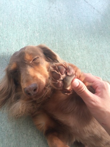 写真 2016-10-15 14 59 58