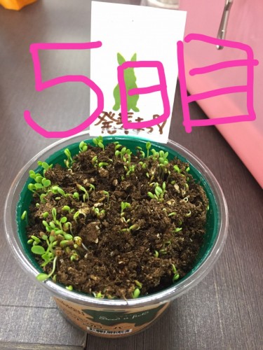 写真 2016-10-10 11 41 53