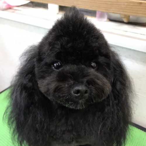 写真 2016-10-17 20 45 28