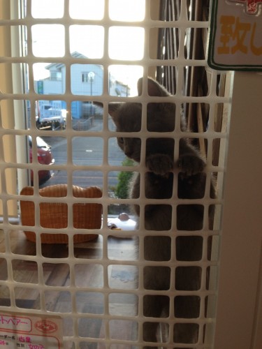 写真 2016-10-01 17 16 18