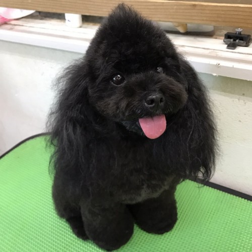 写真 2016-10-17 20 45 25