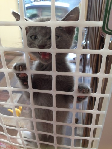 写真 2016-10-01 17 18 06