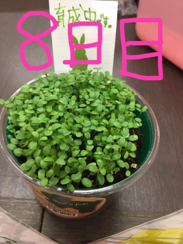 写真 2016-10-13 15 53 54