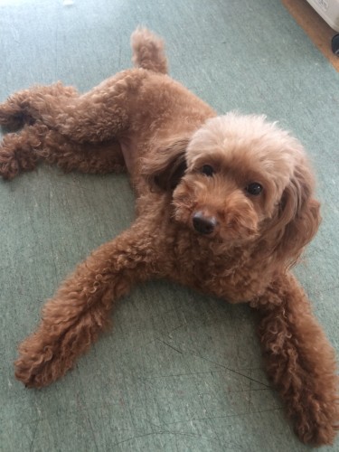 写真 2016-10-15 14 19 36