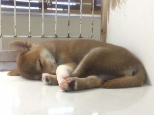 写真 2016-10-08 12 17 17