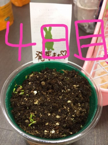 写真 2016-10-09 12 28 08