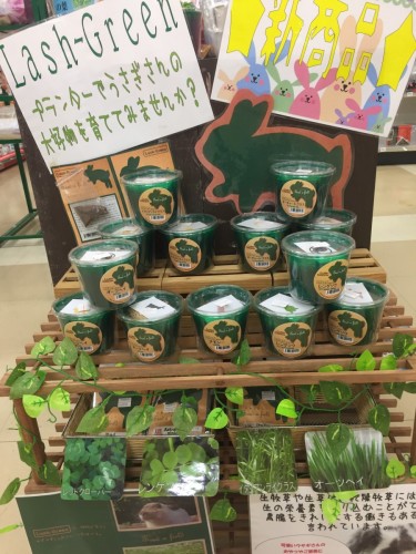 写真 2016-10-13 18 33 30