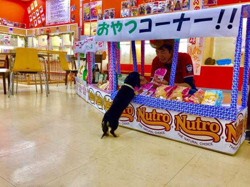 写真 2016-12-22 19 00 32