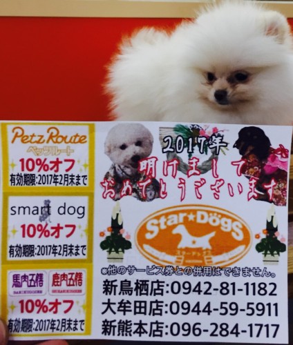 ファイル 2016-12-31 17 38 36