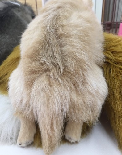 写真 2016-12-02 14 00 17 - コピー