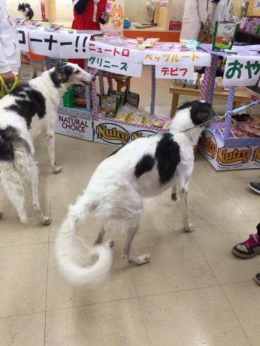 ファイル 2016-12-24 18 18 06