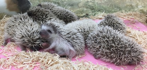 写真 2016-12-07 15 13 03