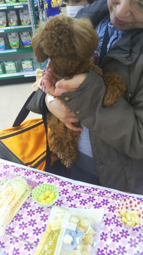 ファイル 2016-12-24 18 56 22