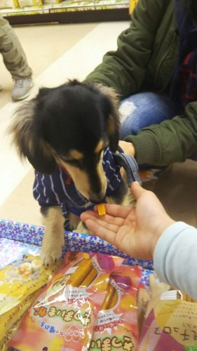 ファイル 2016-12-24 17 23 24