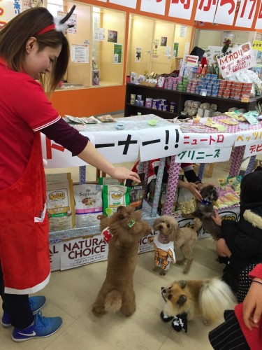 ファイル 2016-12-24 17 22 18