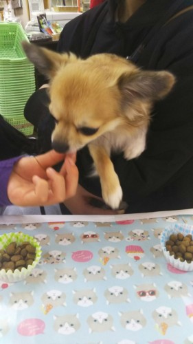 ファイル 2016-12-24 18 56 37