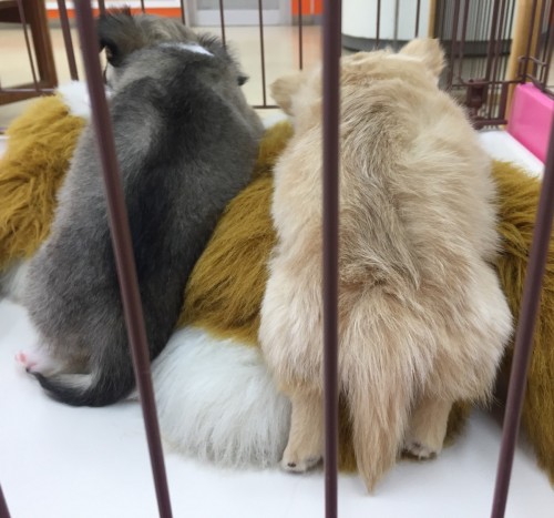 写真 2016-12-02 14 00 04 - コピー