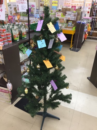 写真 2016-12-15 19 18 59