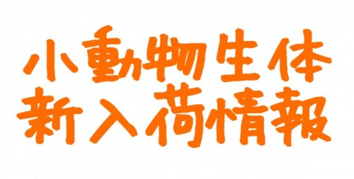 写真 2016-12-15 16 25 16