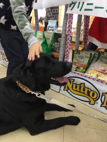 ファイル 2016-12-24 17 22 34