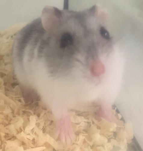 写真 2016-12-15 16 19 05