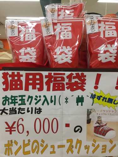 ファイル 2016-12-31 19 26 29