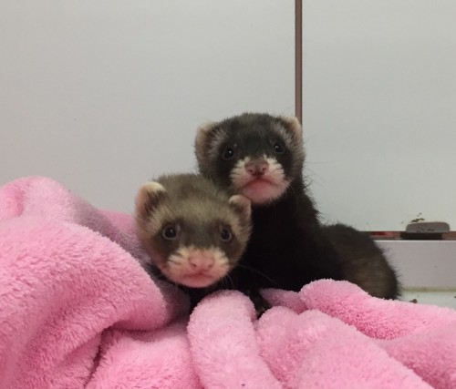 写真 2017-01-14 18 05 30