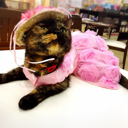 写真 2017-01-25 14 05 06