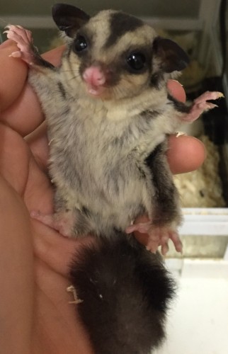 写真 2017-01-14 18 06 16