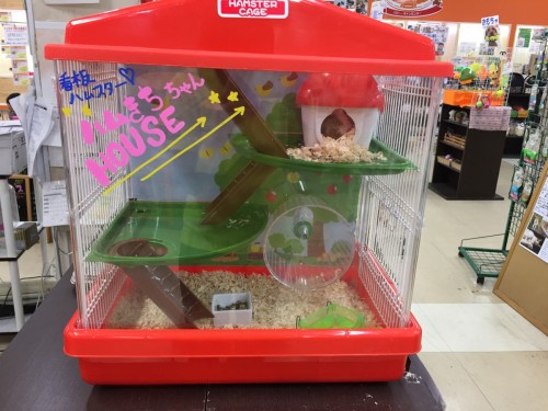 ファイル 2017-01-29 19 40 14