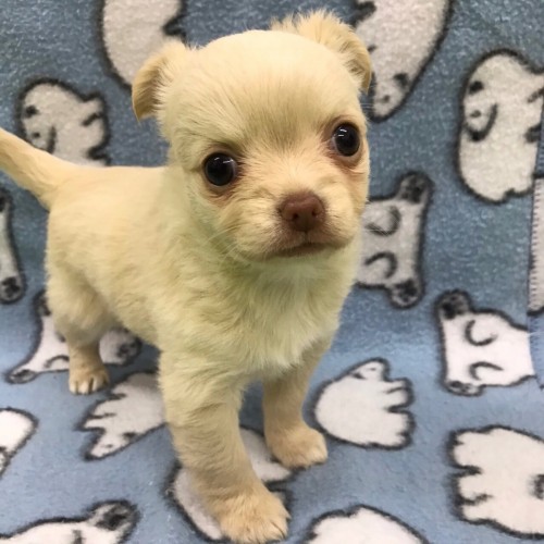 写真 2017-02-11 17 49 12