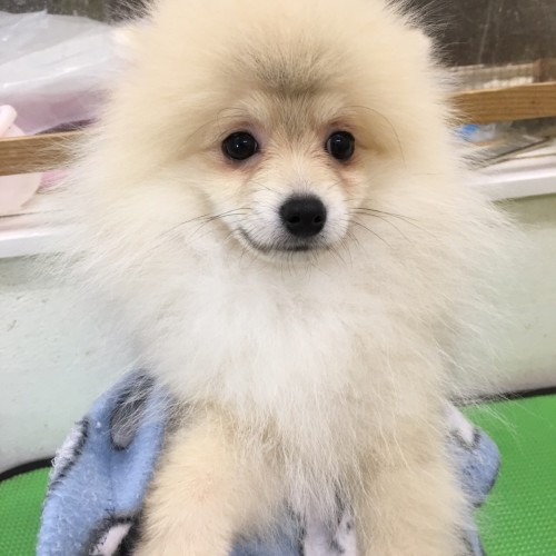 写真 2017-02-04 19 59 16