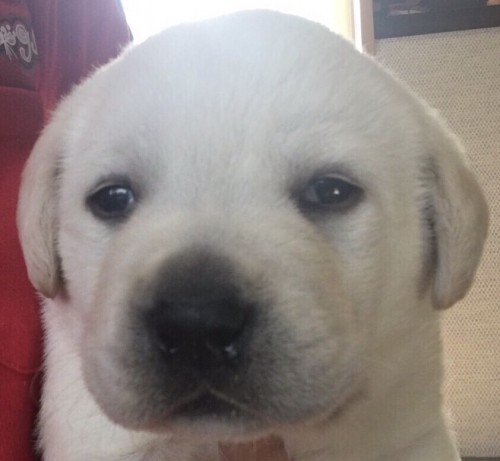 写真 2017-02-23 20 46 28