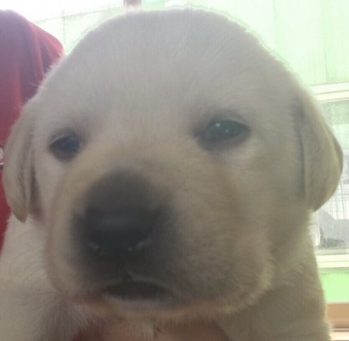 写真 2017-02-23 20 46 31