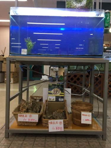 写真 2017-02-28 19 25 34