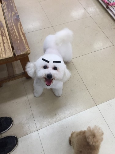 写真 2017-02-08 10 56 14