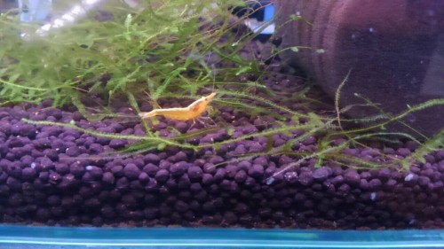 写真 2017-02-07 14 15 31