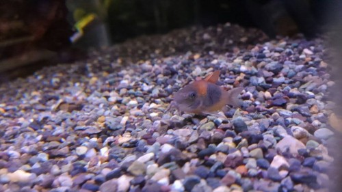 写真 2017-02-07 14 15 37