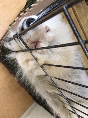 写真 2017-02-04 19 59 19